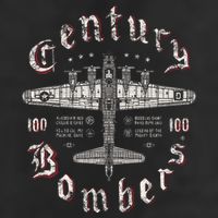 Century Bombers 100th Bomb Group B 17 Hat