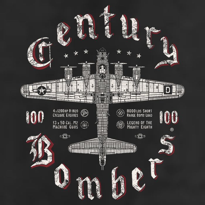 Century Bombers 100th Bomb Group B 17 Hat