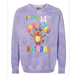 Capybara Birthday 14 Birthday Party 14th Birthday Colorblast Crewneck Sweatshirt