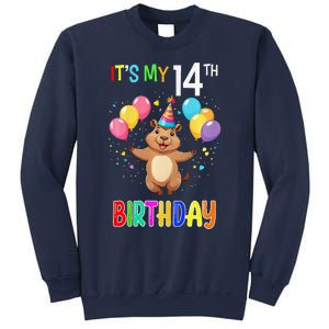 Capybara Birthday 14 Birthday Party 14th Birthday Sweatshirt