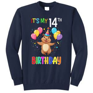 Capybara Birthday 14 Birthday Party 14th Birthday Tall Sweatshirt