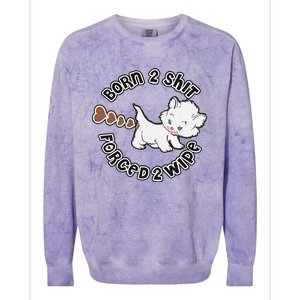 Cat Born 2 Shit Forced 2 Wipe Cute Cat Cat Lover Funny Heart Poop Colorblast Crewneck Sweatshirt