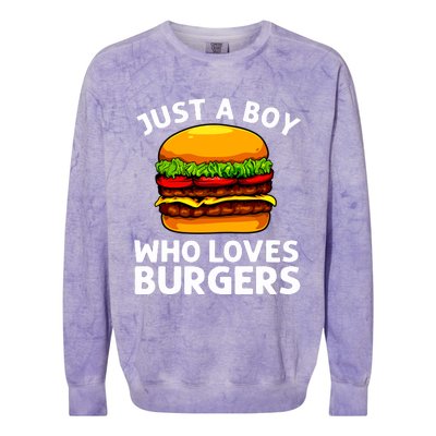 Cool Burger Art For Boy Hamburger Cheeseburger Lover Colorblast Crewneck Sweatshirt