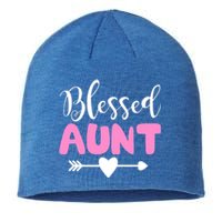 Cute Blessed Aunt Auntie Gift Funny Aun Gift Sustainable Beanie