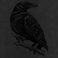 Crow Black Bird Hat
