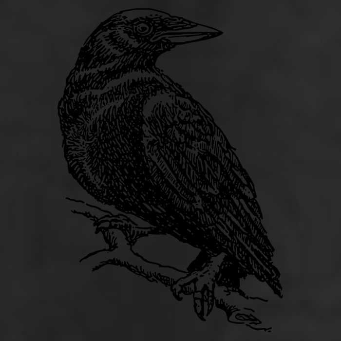 Crow Black Bird Hat