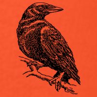 Crow Black Bird Visor