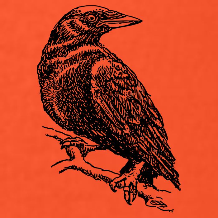 Crow Black Bird Visor