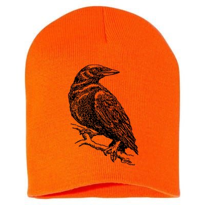 Crow Black Bird Short Acrylic Beanie