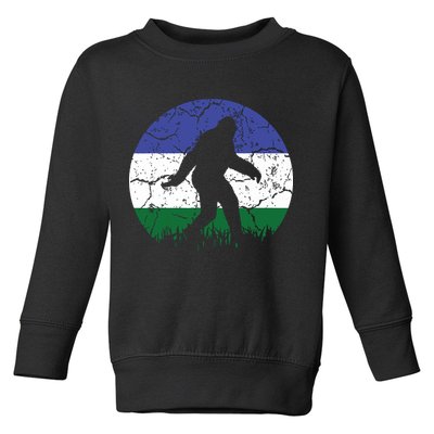 Cascadia Bioregion Bigfoot Flag Independence Vintage Toddler Sweatshirt