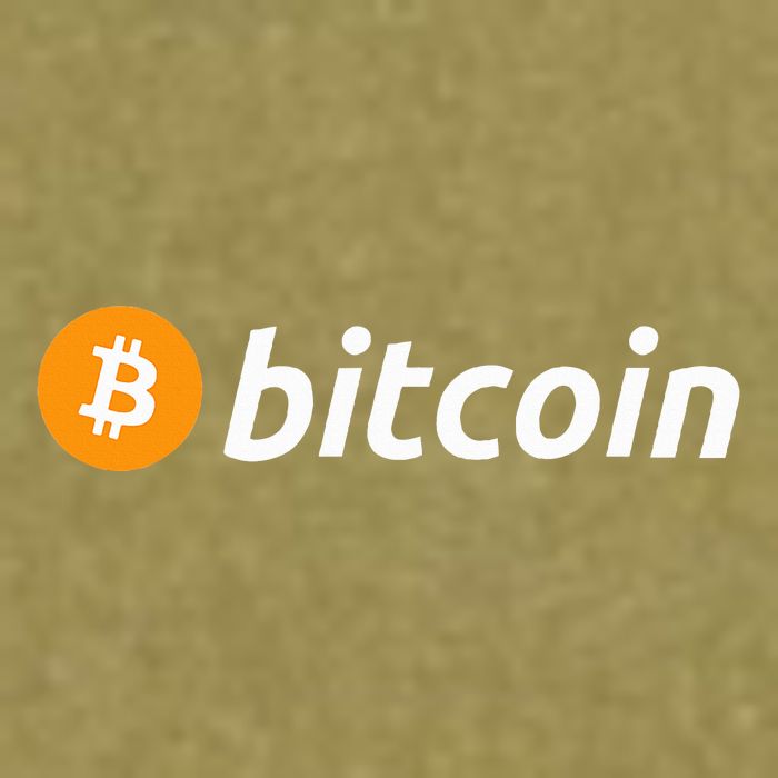 Cryptocurrency Blockchain Bitcoin Logo Crypto Bitcoin Orange Garment-Dyed Women's Muscle Tee