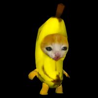 Cute Banana Cat Happy Bananacat Meme Kitty Cat Lovers Meme 16 in Basic Backpack
