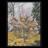 Cherry Blossoms Doggie Tank
