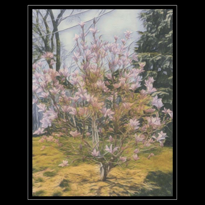 Cherry Blossoms Doggie Tank
