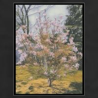 Cherry Blossoms Adult Drive Performance Visor