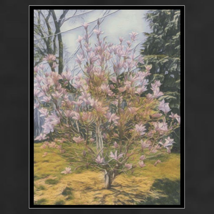 Cherry Blossoms Adult Drive Performance Visor