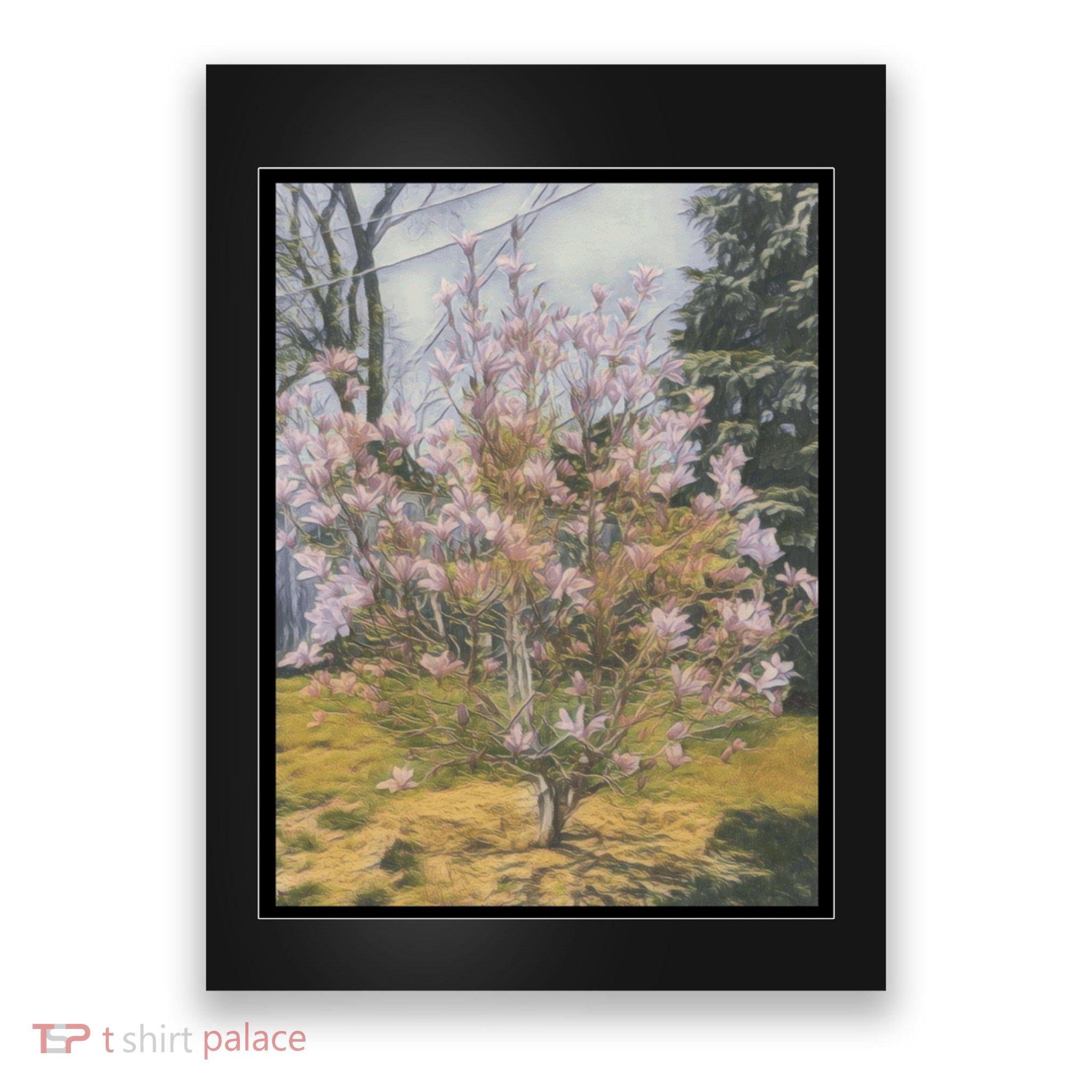 Cherry Blossoms Poster