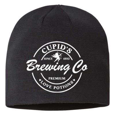 CupidS Brewing Co Funny Valentine Sustainable Beanie