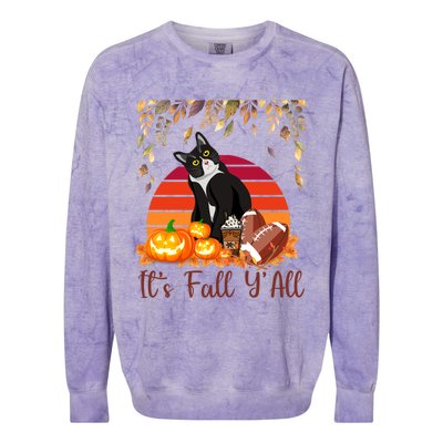 Cute Black Cat Lovers Thanksgiving Halloween ItS Fall YAll Great Gift Colorblast Crewneck Sweatshirt