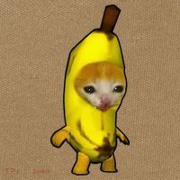 Cute Banana Cat Happy Bananacat Meme Kitty Cotton Canvas Backpack