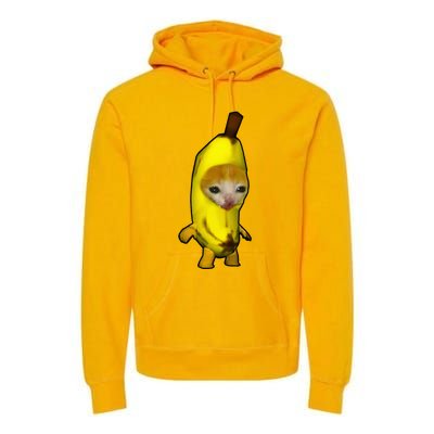 Cute Banana Cat Happy Bananacat Meme Kitty Premium Hoodie