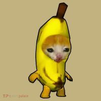 Cute Banana Cat Happy Bananacat Meme Kitty Hoodie