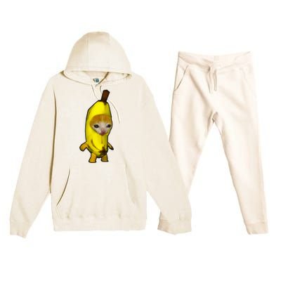 Cute Banana Cat Happy Bananacat Meme Kitty Premium Hooded Sweatsuit Set