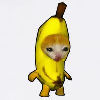 Cute Banana Cat Happy Bananacat Meme Kitty Short Acrylic Beanie