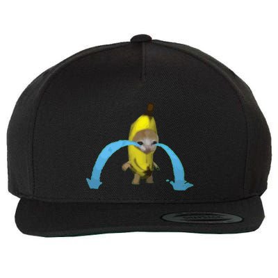 Crying Banana Cat Meme Popular Internet Meme Christmas Day Wool Snapback Cap