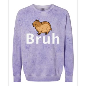 Capybara Bruh Colorblast Crewneck Sweatshirt