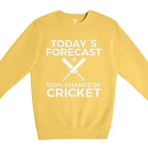 Cricket Bat Cricket Ball Indian Flag India Cricket Premium Crewneck Sweatshirt