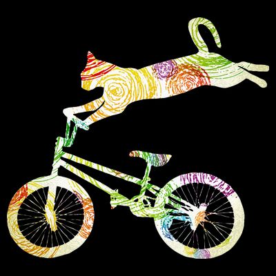 Cat Bike Cycling Bicycle Your Gift Collection T-Shirt