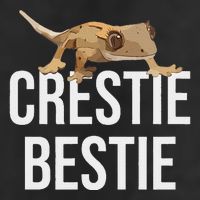 Crestie Bestie Crested Gecko Reptile Lizard Pet Lover Gift 11oz C Handle Ceramic Mug