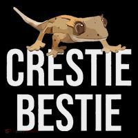 Crestie Bestie Crested Gecko Reptile Lizard Pet Lover Gift Flatbill Hat