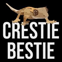 Crestie Bestie Crested Gecko Reptile Lizard Pet Lover Gift Cooling Performance Long Sleeve Crew