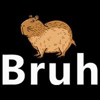 Capybara Bruh 16 in Basic Backpack