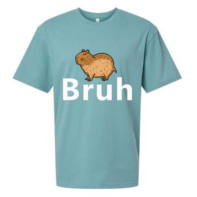 Capybara Bruh Sueded Cloud Jersey T-Shirt