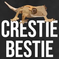 Crestie Bestie Crested Gecko Reptile Lizard Pet Lover Gift TShirt 11oz C Handle Ceramic Mug