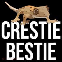 Crestie Bestie Crested Gecko Reptile Lizard Pet Lover Gift TShirt Drawstring Bag