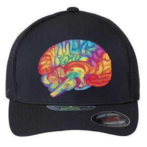 Colorful Brain Flexfit Unipanel Trucker Cap