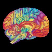 Colorful Brain Baby Bodysuit
