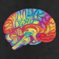 Colorful Brain Golf Towel