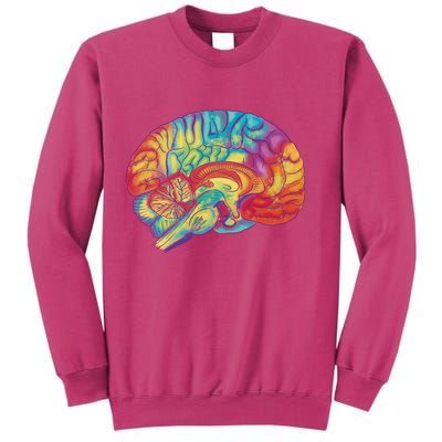 Colorful Brain Sweatshirt