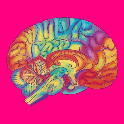 Colorful Brain T-Shirt