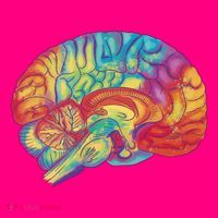 Colorful Brain Button