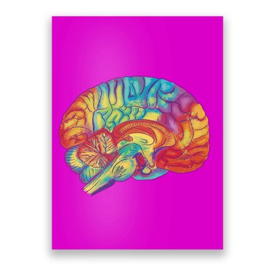 Colorful Brain Poster