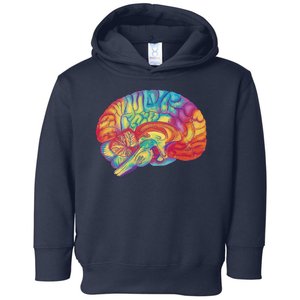 Colorful Brain Toddler Hoodie