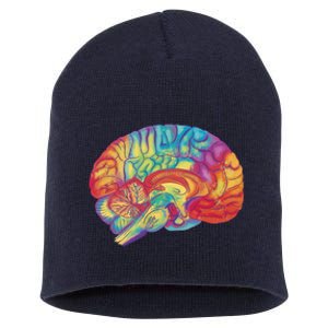 Colorful Brain Short Acrylic Beanie