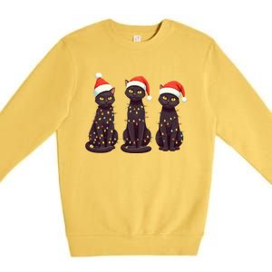 Cute Black Cat Santa Christmas Lights Cat Kitty Pajamas Xmas Cool Gift Premium Crewneck Sweatshirt