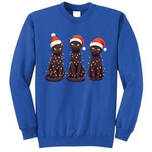 Cute Black Cat Santa Christmas Lights Cat Kitty Pajamas Xmas Cool Gift Sweatshirt